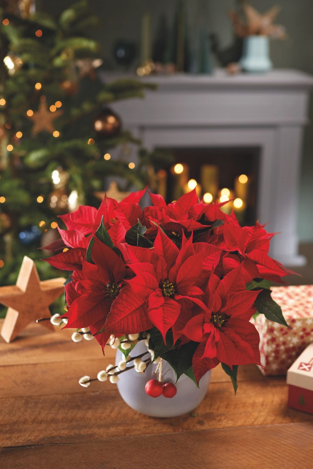 Рождественские декорации: как гармонично украсить дом к праздникам и не превратить в хаос из дождика 7